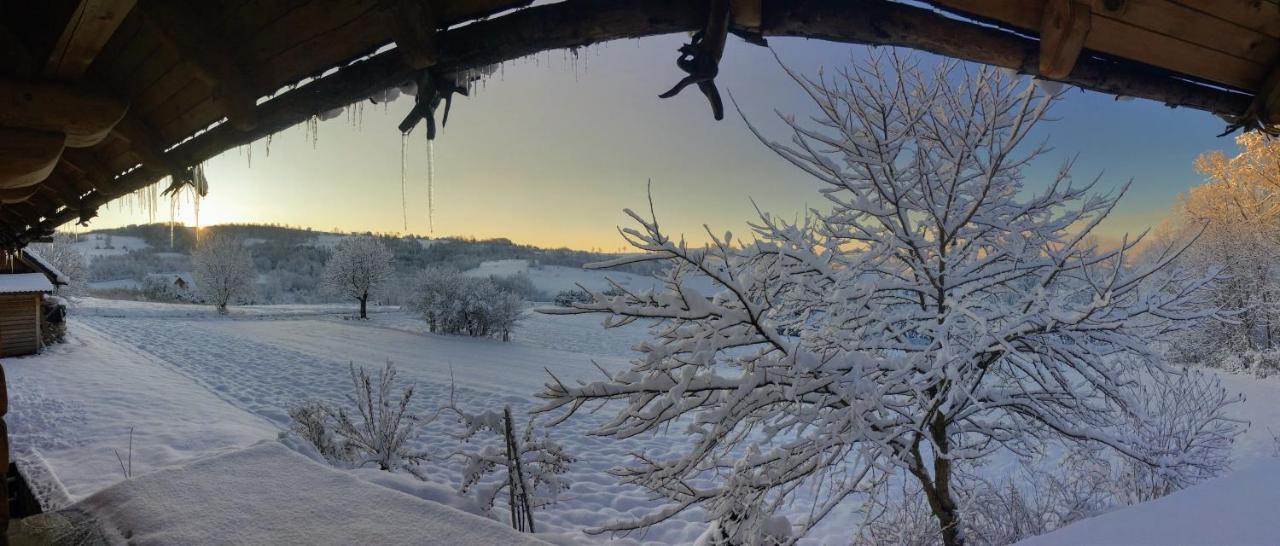 Moja Chata Do Wynajecia Istebna Buitenkant foto