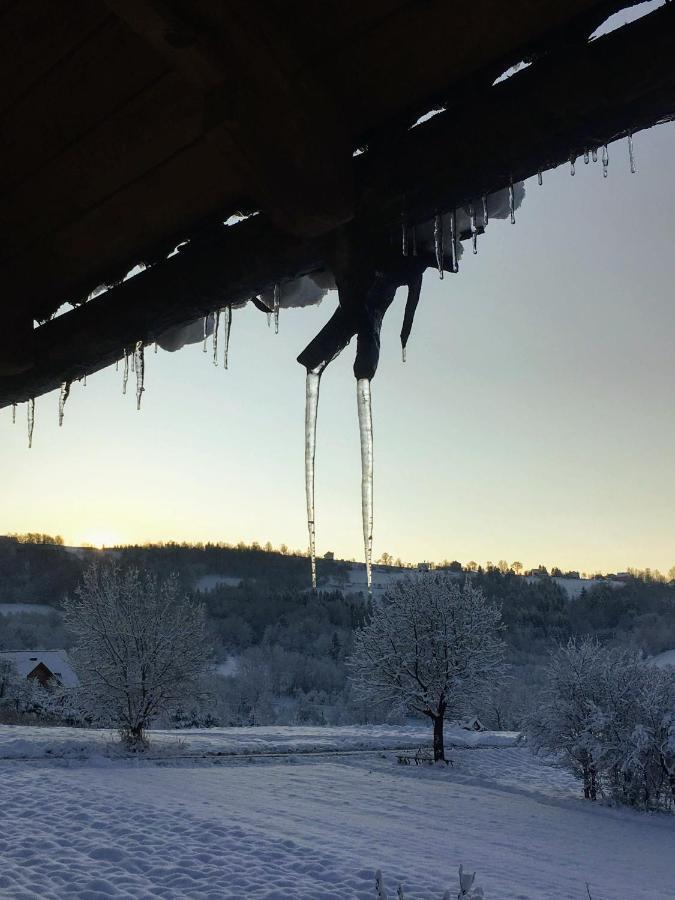 Moja Chata Do Wynajecia Istebna Buitenkant foto