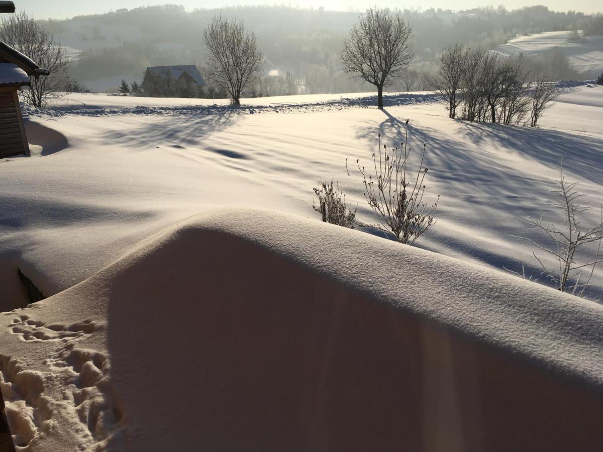 Moja Chata Do Wynajecia Istebna Buitenkant foto
