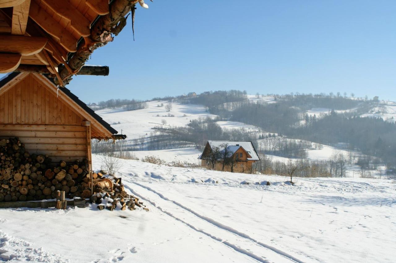 Moja Chata Do Wynajecia Istebna Buitenkant foto