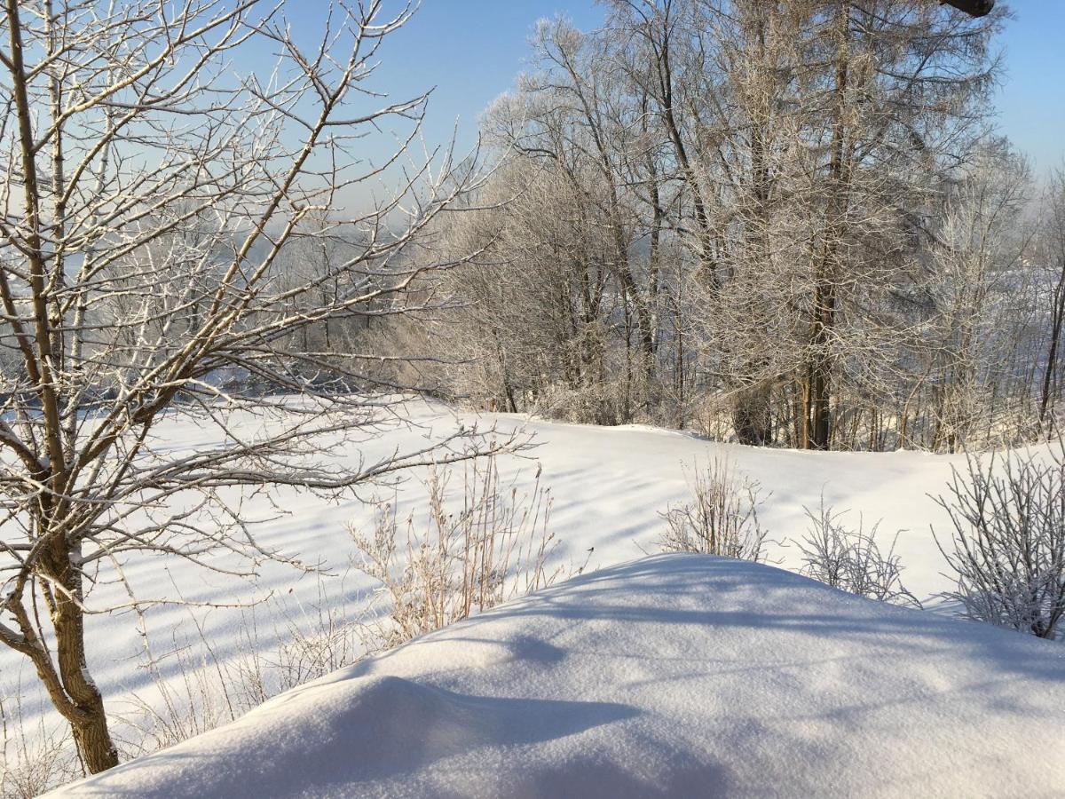 Moja Chata Do Wynajecia Istebna Buitenkant foto