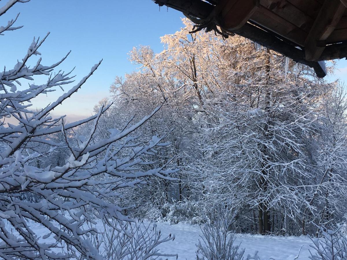 Moja Chata Do Wynajecia Istebna Buitenkant foto